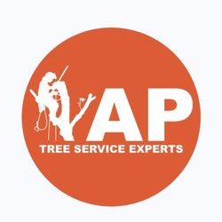 AP Tree Service Experts