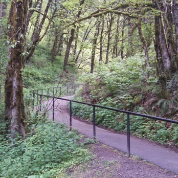 Latourell Falls - The path to the falls - Hiking Near Me - Portland, Oregon Latourell Falls - The path to the falls - Hiking Near Me - Portland, Oregon