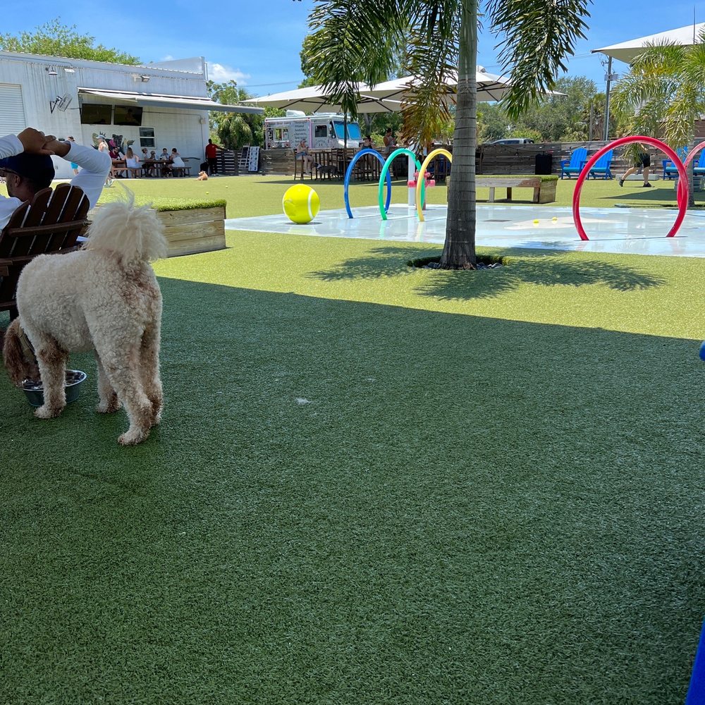 Two Shepherds Taproom - Outdoor water agility - Bars Near Me - Tampa, Florida Two Shepherds Taproom - Outdoor water agility - Bars Near Me - Tampa, Florida