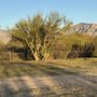 Photo of Jms Fencing
