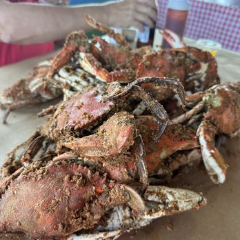 Crab Bag - Jumbo crabs - Seafood Near Me - Ocean City, Maryland