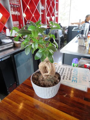 Fuego Latino Gastropub by null