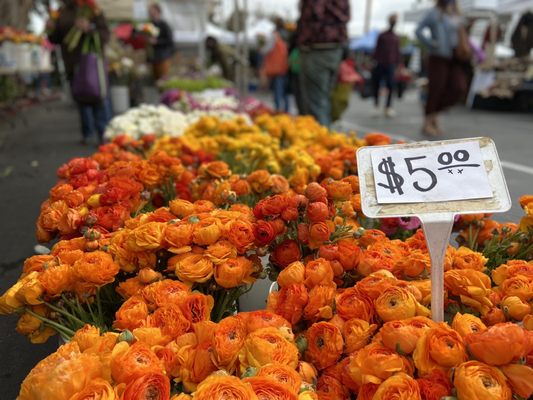 Temescal Farmer's Market by null