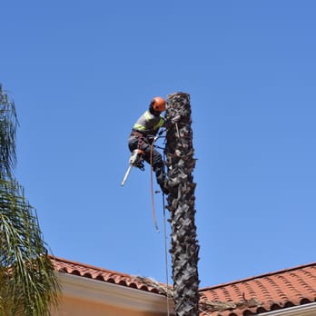 Pro Select Construction Services - General Contractors Near Me - Escondido, California Pro Select Construction Services - General Contractors Near Me - Escondido, California