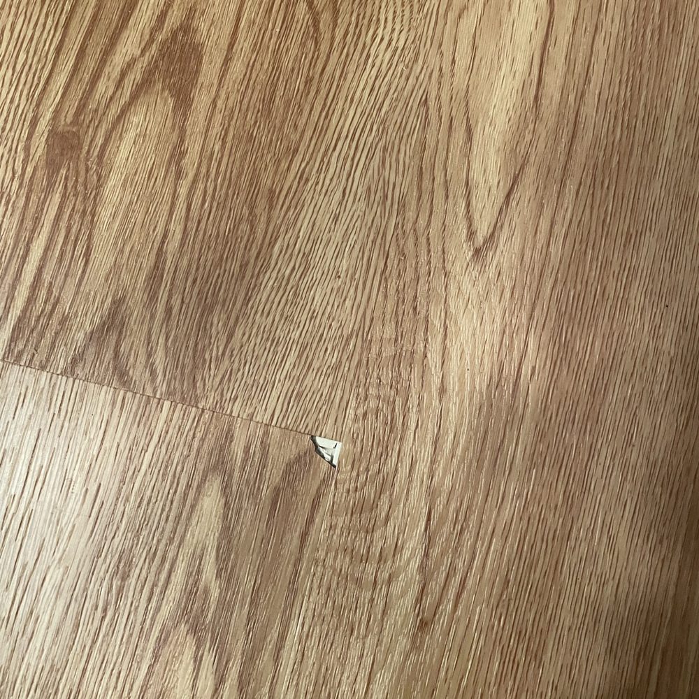 The Carpet Store - The piece of floor that chipped off less than 9 months of it being installed. - Carpeting Near Me - St. Petersburg, Florida The Carpet Store - The piece of floor that chipped off less than 9 months of it being installed. - Carpeting Near Me - St. Petersburg, Florida