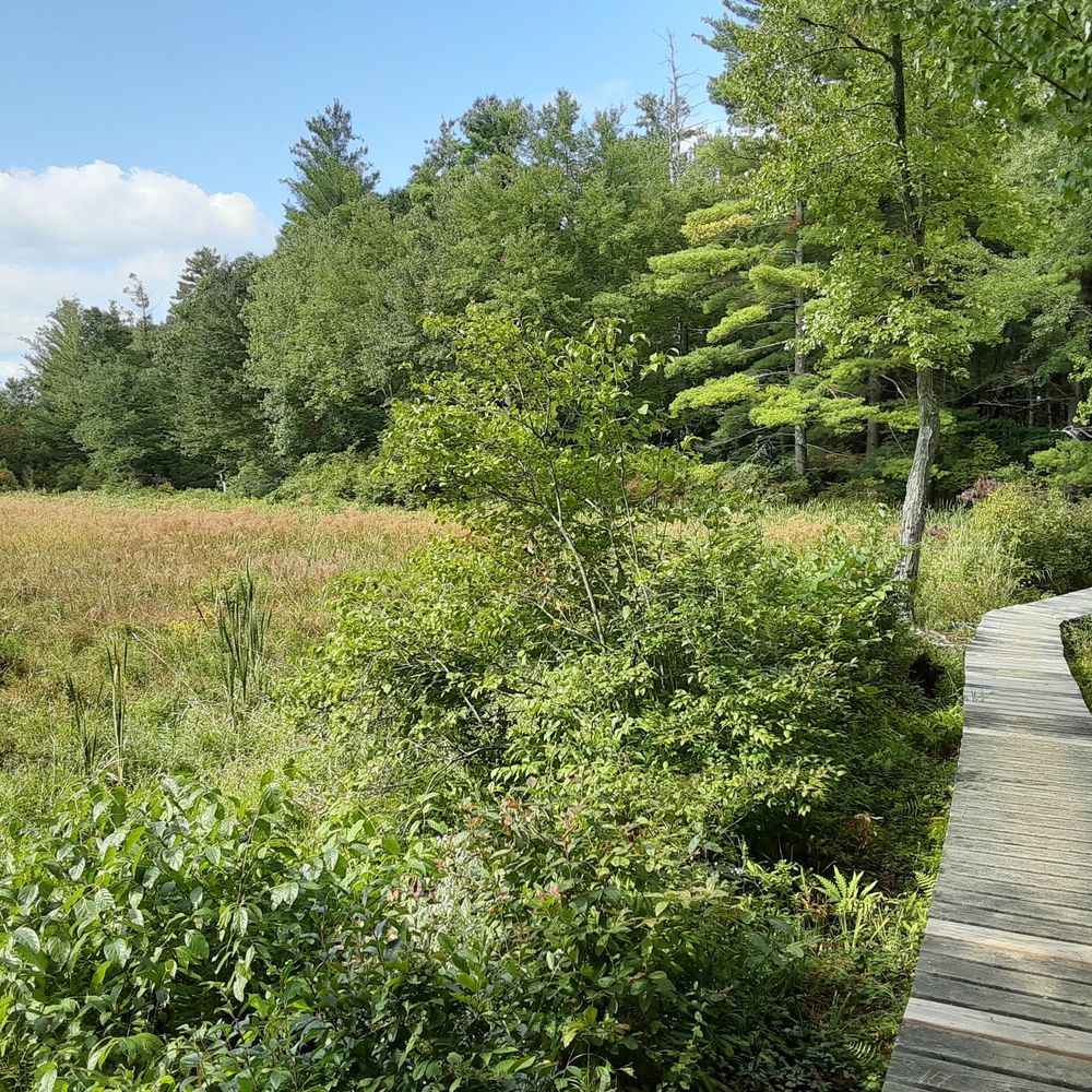 White Memorial Conservation Center - A symbol of course. - Museums Near Me - Litchfield, Connecticut White Memorial Conservation Center - A symbol of course. - Museums Near Me - Litchfield, Connecticut