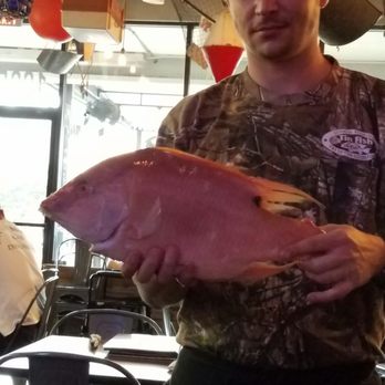 Tin Fish - Hogfish before - New American Near Me - Sunrise, Florida Tin Fish - Hogfish before - New American Near Me - Sunrise, Florida