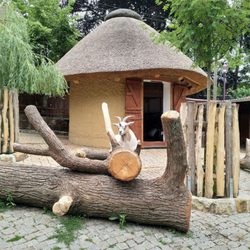 Tiergarten