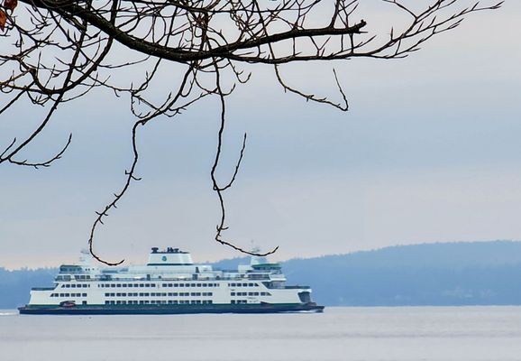 Alki Beach by null