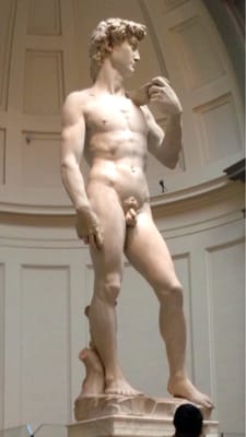 Galleria dell’Accademia di Firenze by null