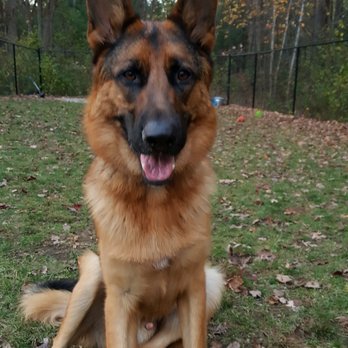 peace of mind pet care