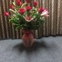 Photo of Beautiful Flowers