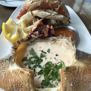 Taylor Shellfish Oyster Bar - DUNGENESS CRAB - Seafood Near Me - Seattle, Washington Taylor Shellfish Oyster Bar - DUNGENESS CRAB - Seafood Near Me - Seattle, Washington