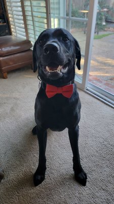 Healthy Spot - North Berkeley