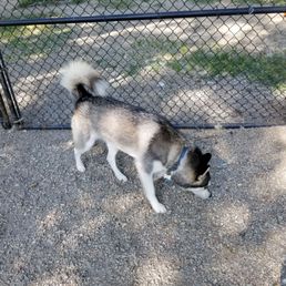Dog park