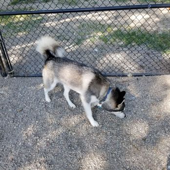 Frazier Park - Dog park - Dog Parks Near Me - Charlotte, North Carolina