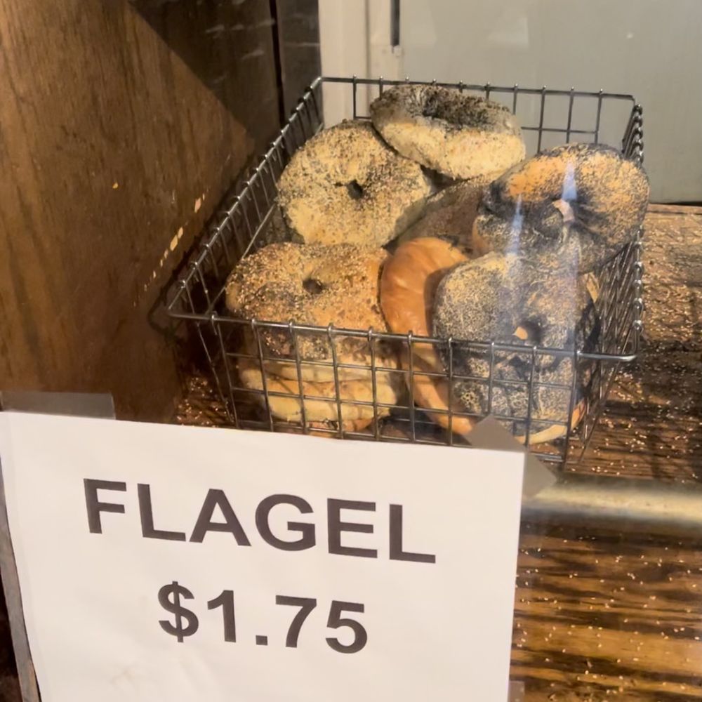 David's Bagels - Everything Flagel with Cream Cheese - Bagels Near Me - New York, New York David's Bagels - Everything Flagel with Cream Cheese - Bagels Near Me - New York, New York