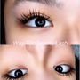 Photo of Way Too Beauty Lash