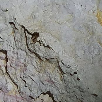 Longhorn Cavern State Park - Tours Near Me - Burnet, Texas Longhorn Cavern State Park - Tours Near Me - Burnet, Texas