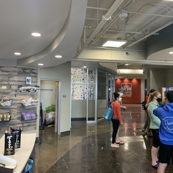 Movement - Rock Climbing Near Me - Columbia, Maryland