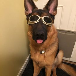 Future so bright he has to wear shades.