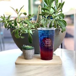New Tapioca Master in Houston gift card