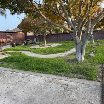 Terriquez Landscaping - Before - Landscaping Near Me - Lathrop, California