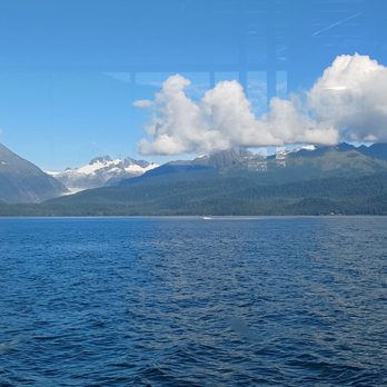 Allen Marine Tours - Tours Near Me