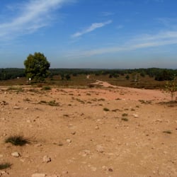 Mehlinger Heide