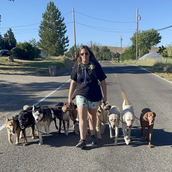 Strutt Your Mutt - Pet Training Near Me