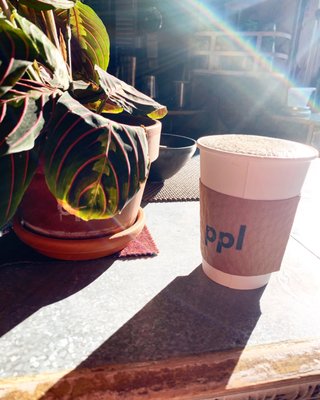 PPL by null PPL by null