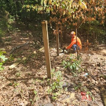 J P Tree Service - Tree Services Near Me - Murray, Kentucky J P Tree Service - Tree Services Near Me - Murray, Kentucky