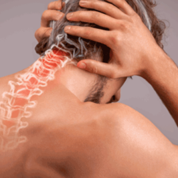 White Rock Chiropractic - Chiropractors Near Me - Dallas, Texas