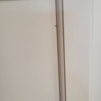 Quality Designs Painting - Bug. - Painters Near Me - Palm Bay, Florida