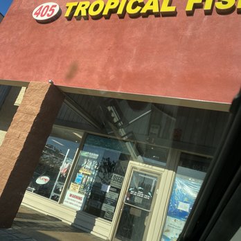 405 Tropical Fish - Local Fish Stores Near Me - Westminster, California 405 Tropical Fish - Local Fish Stores Near Me - Westminster, California