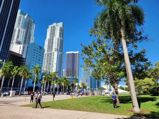 Bayfront Park by null