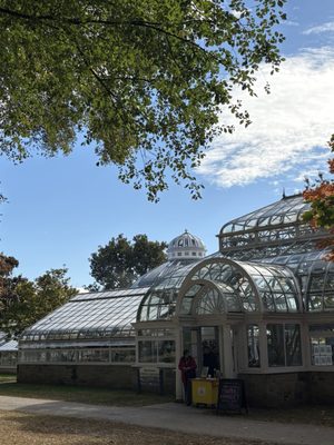 Allan Gardens Conservatory by null