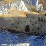 Photo of Barbacoa Estilo Chihuahua "El Oso"