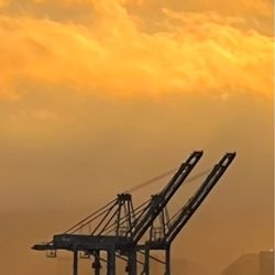 Gatherer Outfitters - Oakland dock at sunrise