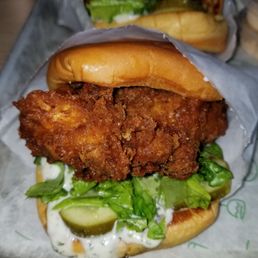 Chicken Sandwich Chicken Sandwich