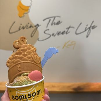 Somisomi - Upside Down Ahboong - Ice Cream & Frozen Yogurt Near Me - Katy, Texas