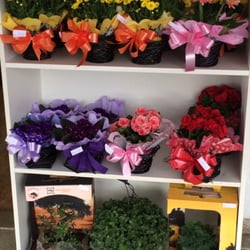 Aiko Floricultura