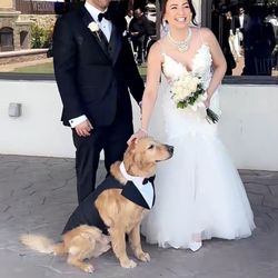 Vienna Ballroom and Garden - My dog was welcomed!