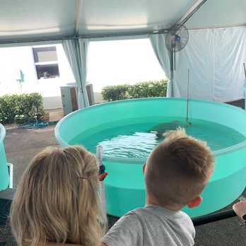 Loggerhead Marinelife Center - Little ones need to be lifted to see any of the turtles during the construction temporary setup. - Community Service/Non-Profit Near Me - Juno Beach, Florida