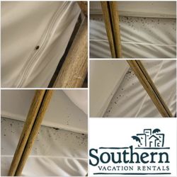 Emerald Isle Resort - Severe BED BUG INFESTATION