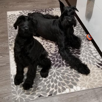 Campground Kennels - Pet Sitting Near Me