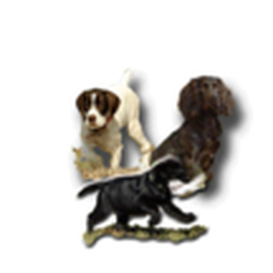 Beaver Creek Kennels