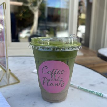 Coffee and Plants - Coffee and plants - Coffee & Tea Near Me - Studio City, California