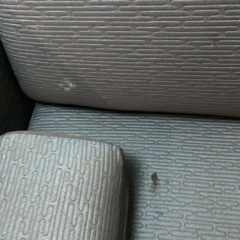 SpringHill Suites by Marriott Corpus Christi - Stained couch - Hotels Near Me - Corpus Christi, Texas SpringHill Suites by Marriott Corpus Christi - Stained couch - Hotels Near Me - Corpus Christi, Texas