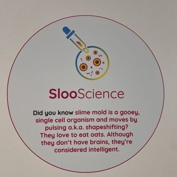 Sloomoo Institute - Houston - Children's Museums Near Me - Houston, Texas Sloomoo Institute - Houston - Children's Museums Near Me - Houston, Texas
